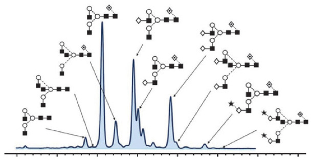 Protein Glycosylation Creative Proteomics