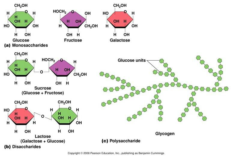 Low Molecular Weight Sugars