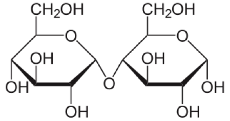 Maltose Analysis Service