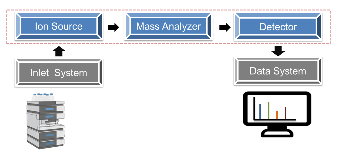 Mass Spectrometry Platform