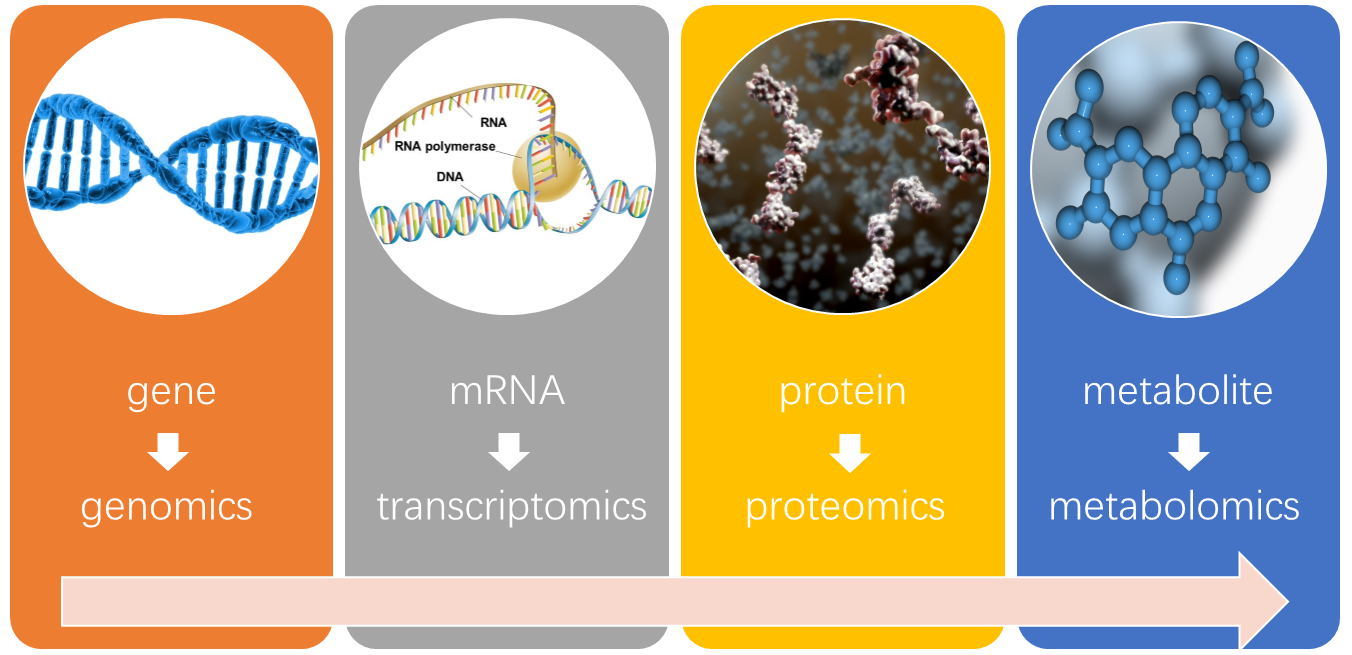 SAM and SAH Analysis Service - Creative Proteomics