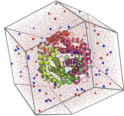 Molecular Dynamics Simulation Service