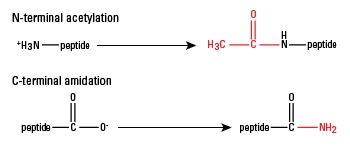 N-acetylation