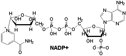 NADP Analysis Service