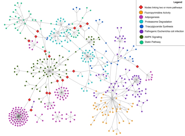 Network Analysis Service