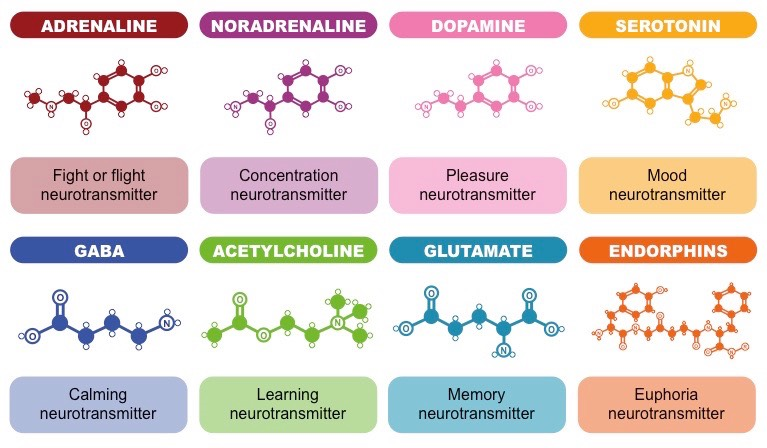 Neurotransmitters