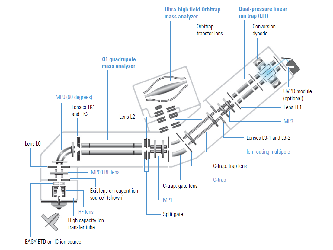 Orbitrap Fusion Lumos Tribrid Mass Spectrometer