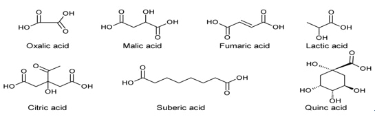 Organic Acids Analysis Service