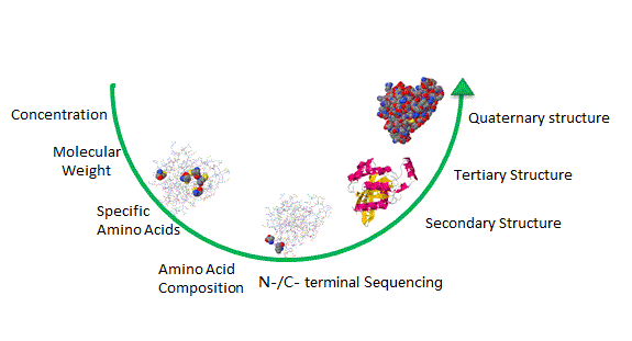 Protein Therapeutic Analysis