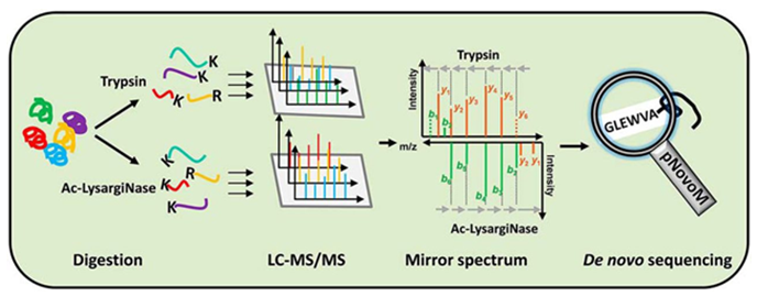 Peptide and Protein De Novo Sequencing by Mass Spectrometry