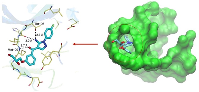 Protein Ligand Binding Site Prediction Service