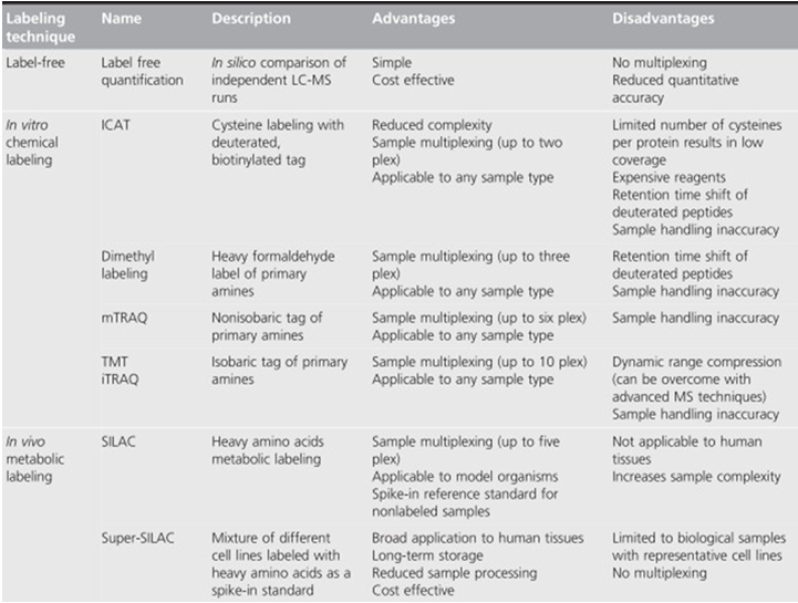 Protein Quantification Techniques and Their Application in Clinical Research