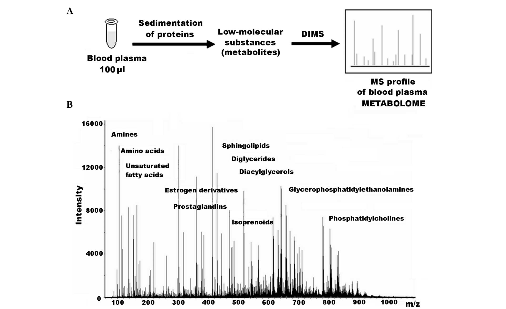 Serum Untargeted Metabolomics