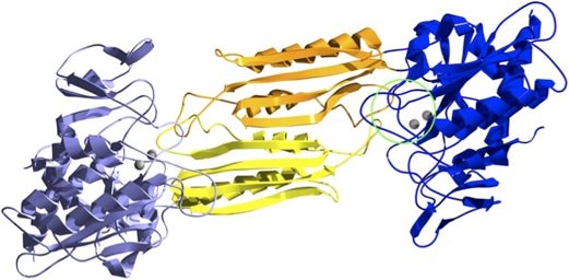 Structure-based Evolution Analysis of Proteins Service
