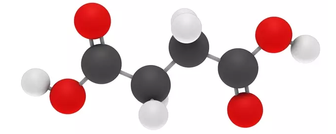 Succinic acid Analysis Service