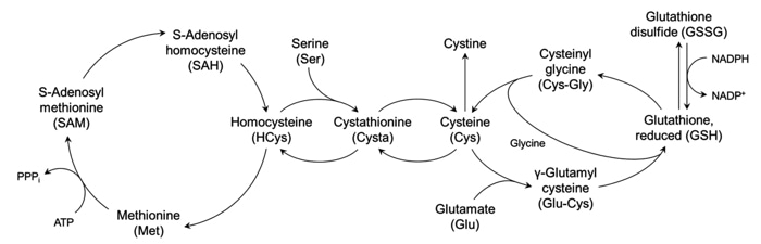 Thiols Analysis Service