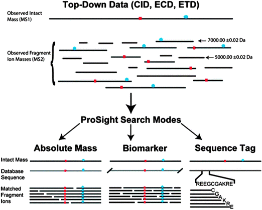 Top-Down based Sequencing