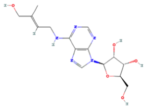 Zeatin Riboside Analysis Service