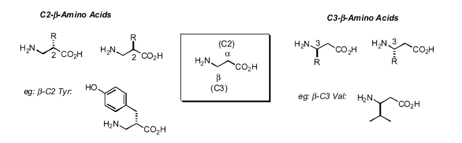 Fig. 1 Structure of b-amino acids.