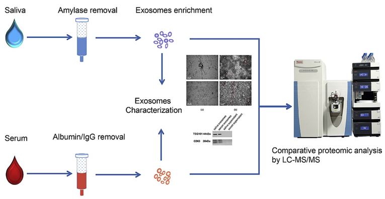 exosome proteomics