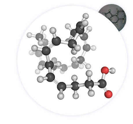 Short Chain Fatty Acids Analysis