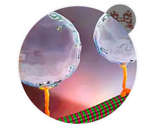 Host Cell Protein Analysis