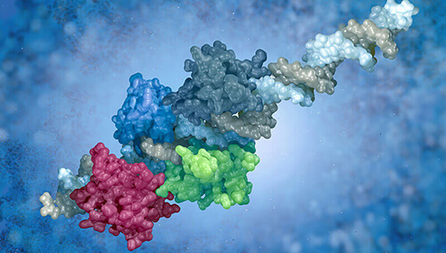 Customized Synthesized Peptide/Proteins