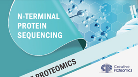 N-Terminal Protein Sequencing