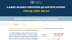 Comparison of Three Label based Quantification Techniques iTRAQ TMT and SILAC
