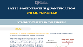 Comparison of Three Label based Quantification Techniques iTRAQ TMT and SILAC