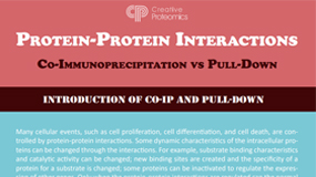 Protein–Protein Interactions—Co-Immunoprecipitation and Pull-Down Assays