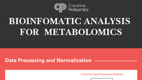 Bioinformatic Analysis for Metabolomics