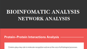Bioinformatics Analysis Network Analysis