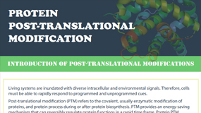 Protein Post-translational Modification Analysis