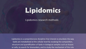 Lipidomics Solution