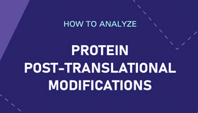 Protein Post-Translational Modification Analysis