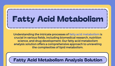 Fatty Acid Metabolism Analysis
