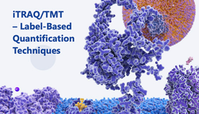 iTRAQ/TMT – Label-Based Quantification Techniques