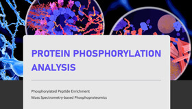 Protein Phosphorylation Analysis