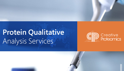 Protein Qualitative Analysis Services