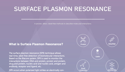 Surface Plasmon Resonance