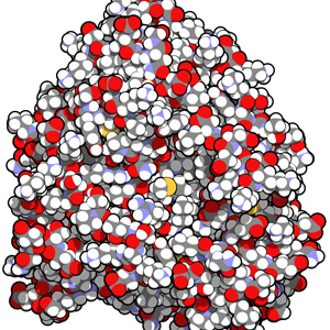 Xenobiotic Metabolites Analysis Service