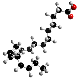  α-Linolenic Acid Analysis Service