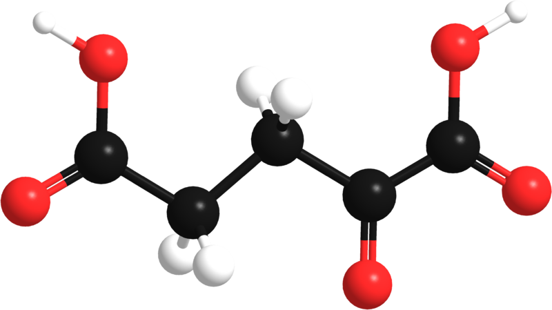 α-ketoglutaric Acid Analysis Service
