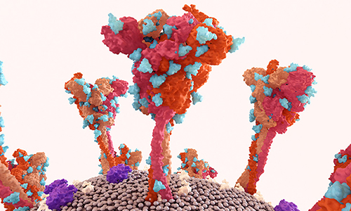 Large-Scale Phospho Profiling