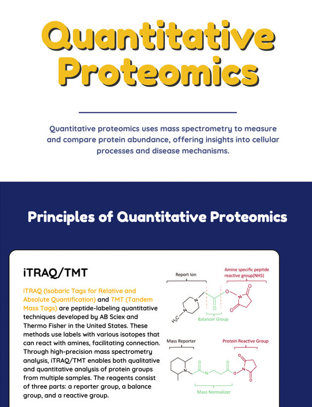 Quantitative Proteomics