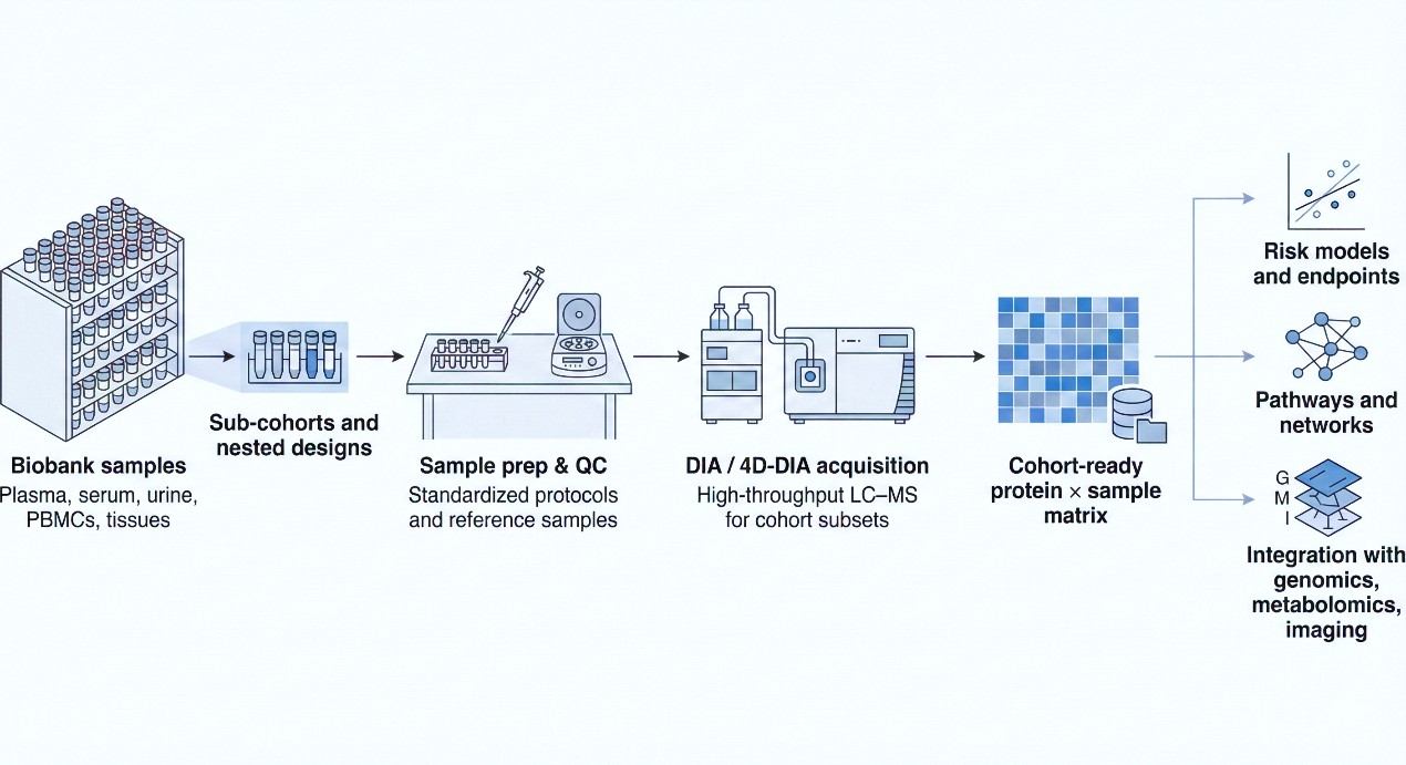 Horizontal workflow from biobank samples and sub-cohort selection through sample preparation and DIA acquisition to a cohort-ready protein by sample matrix and multiple downstream analyses