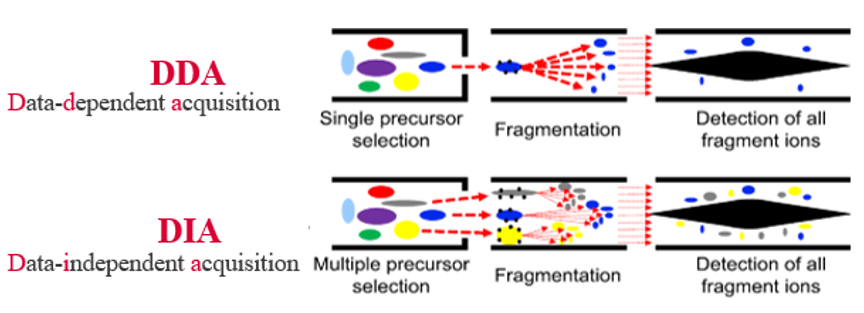 4d-dia-quantitative-proteomics-services-1.png