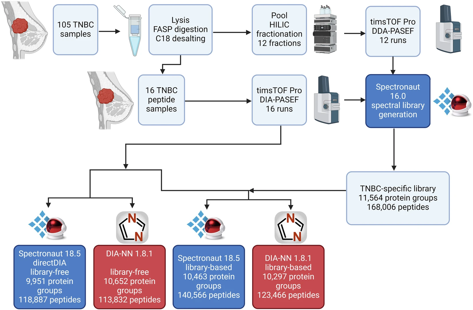 Workflow of the TNBC hybrid DDA/DIA-PASEF study (Figure 1)