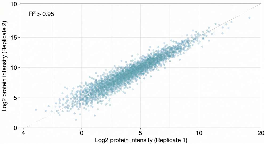 replicate correlation scatter plot showing quantitative reproducibility
